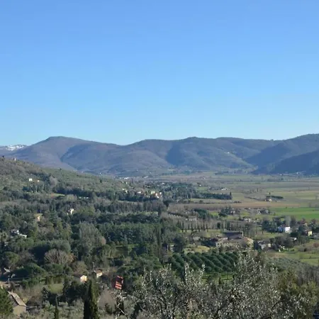 In With Pool * 코르토나