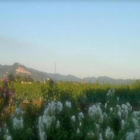 In With Pool 펜션 코르토나