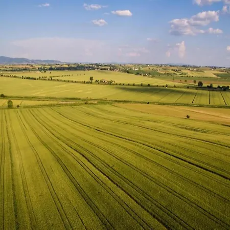 In With Pool Nyaraló