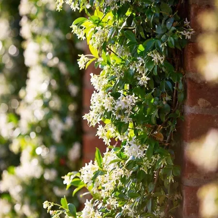 In With Pool 펜션 *