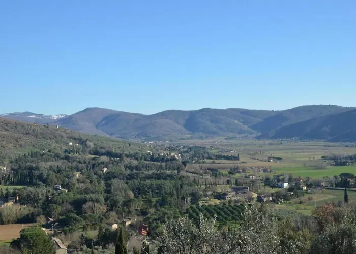 In With Pool * 코르토나