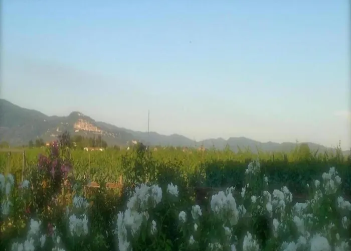 In With Pool 펜션 코르토나