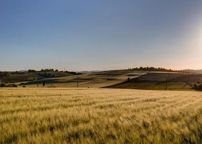 In With Pool 코르토나