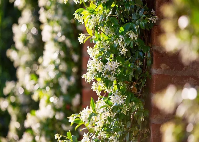 In With Pool 펜션 *