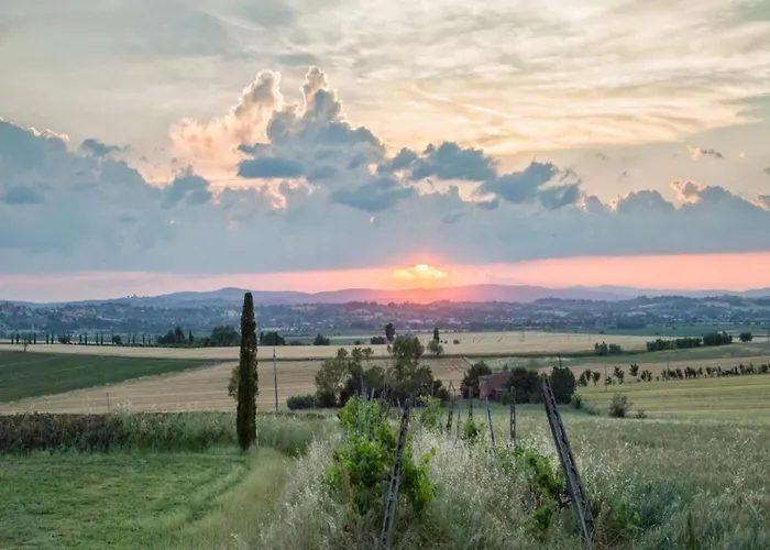 In With Pool 코르토나